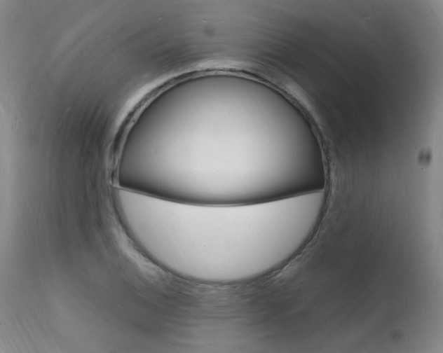 X0000112151124200908070956