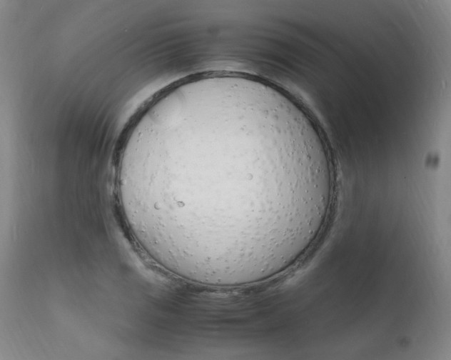 X0000112151125200908070956