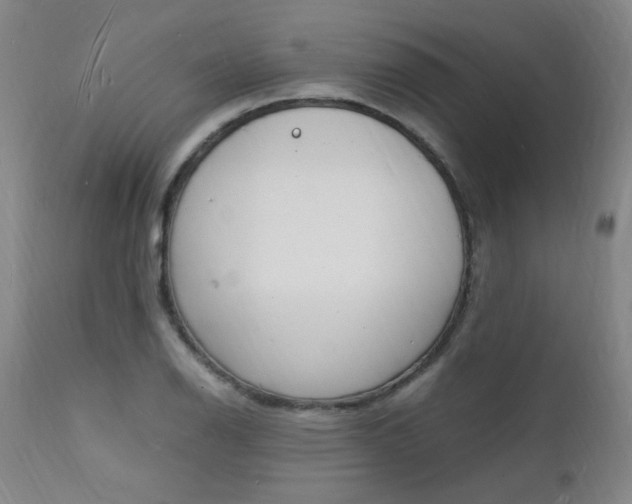 X0000112151126200908070956