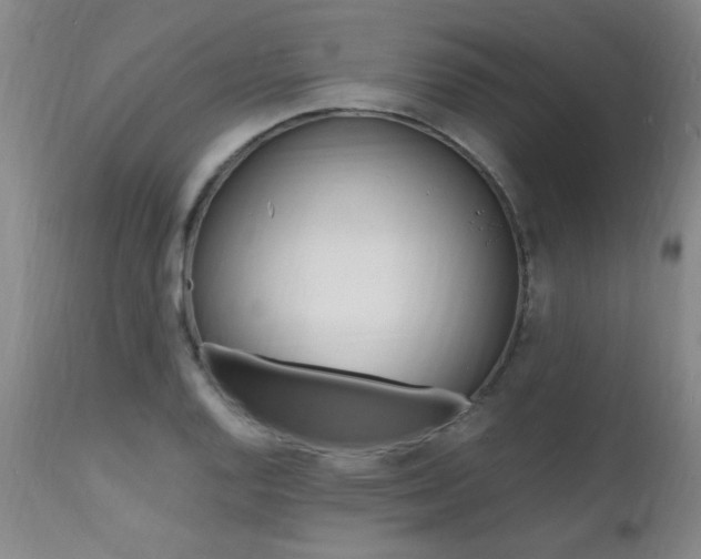 X0000112151128200908070956