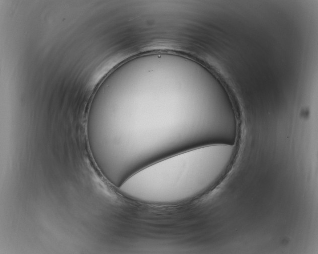 X0000112151129200908070956