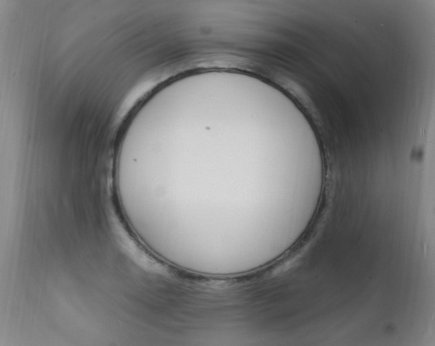 X0000112151130200908070956