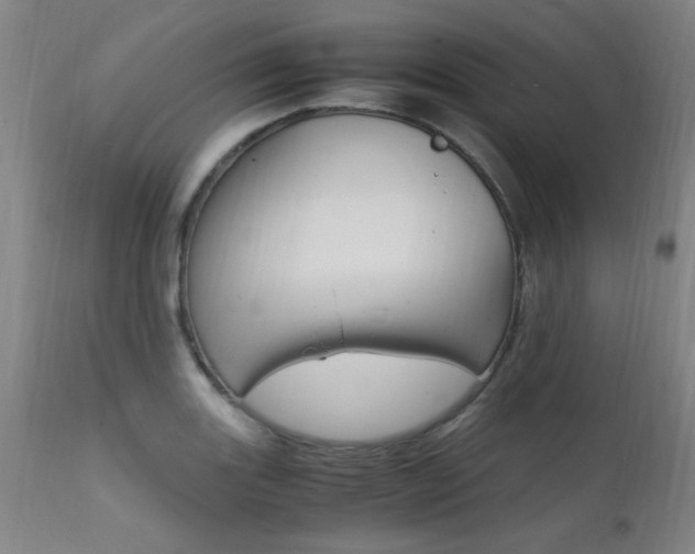 X0000112151131200908070956