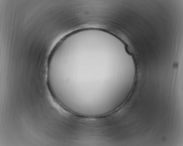 X0000112151132200908070956