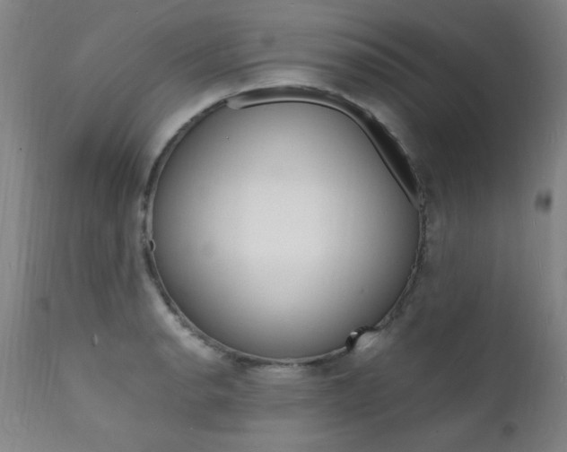 X0000112151134200908070956