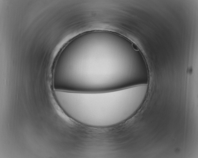 X0000112151136200908070956