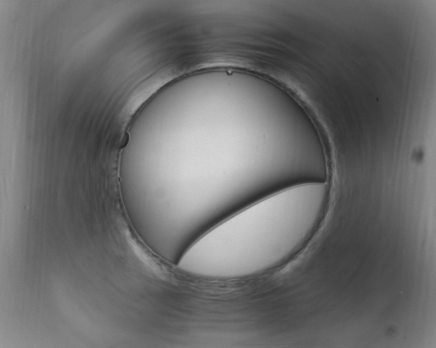 X0000112151137200908070956