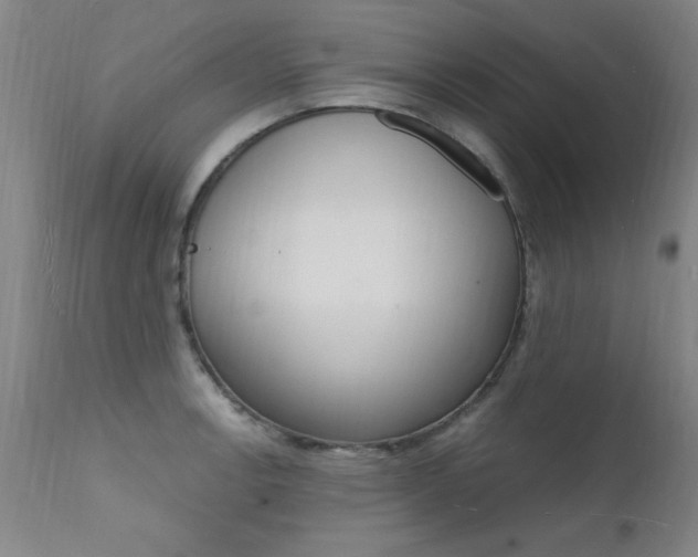 X0000112151138200908070956