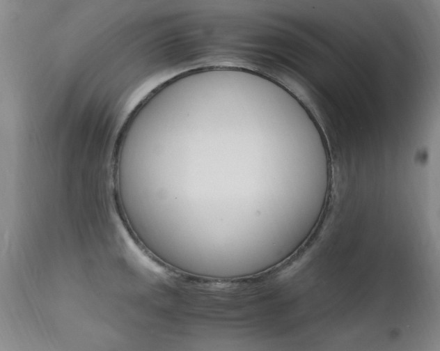 X0000112151141200908070956