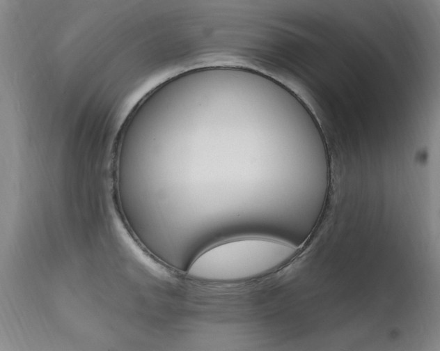 X0000112151142200908070956