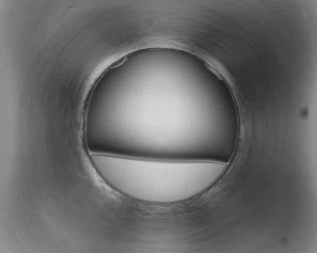 X0000112151144200908070956