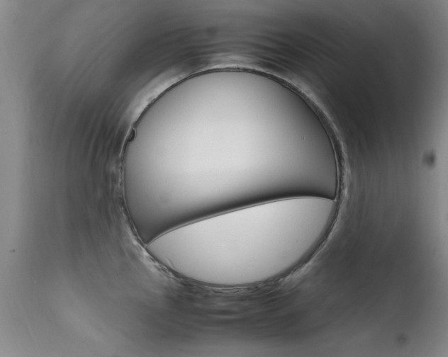 X0000112151145200908070957