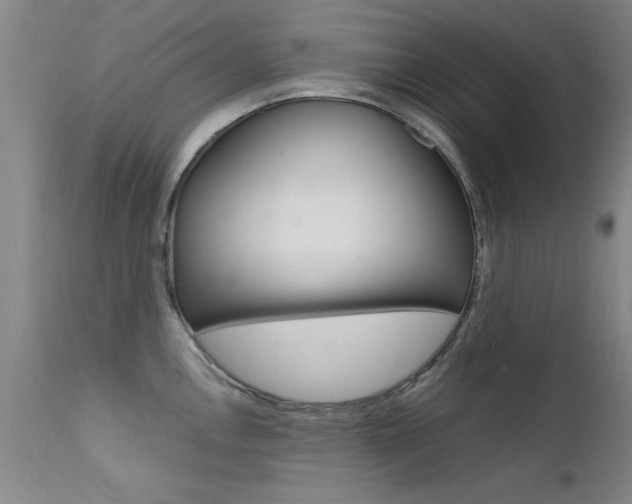 X0000112151146200908070957