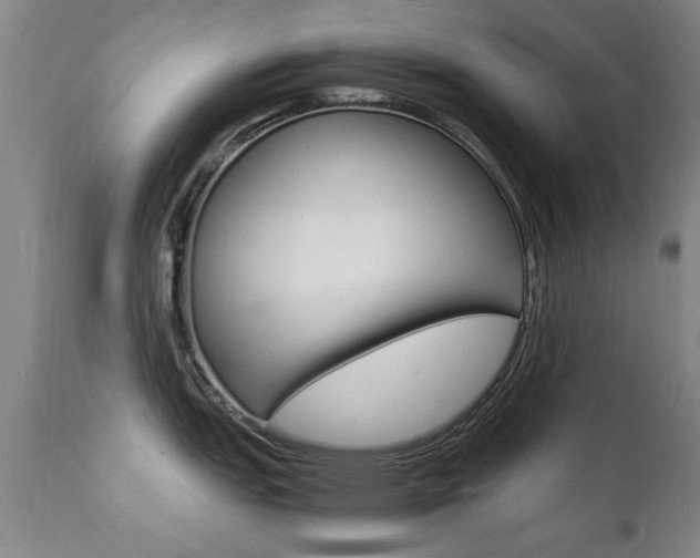 X0000112151151200908070957