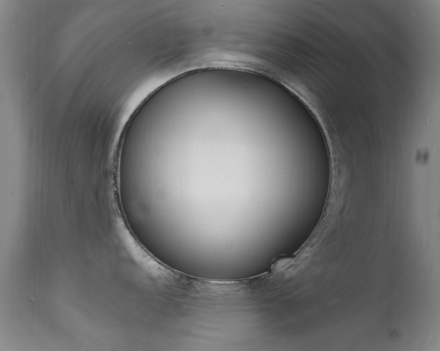 X0000112151152200908070957