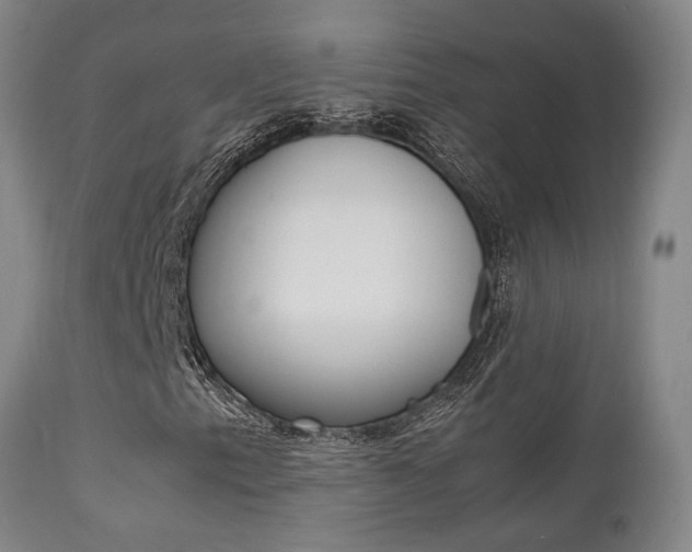 X0000112151153200908070956