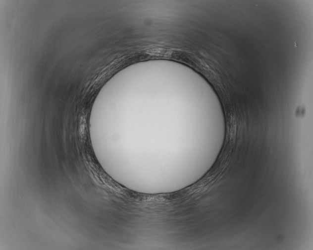 X0000112151154200908070956