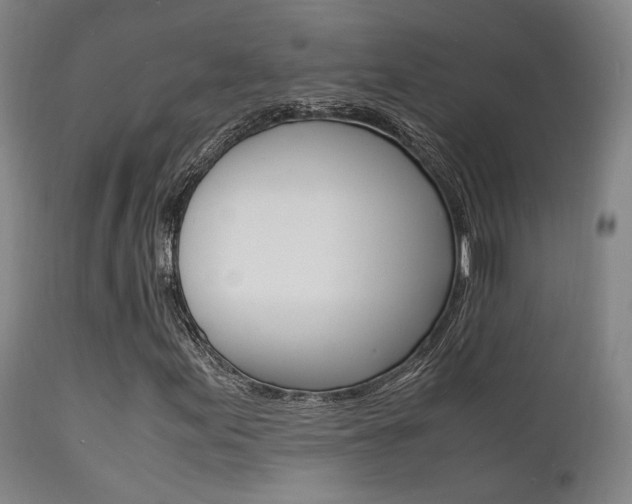 X0000112151155200908070956