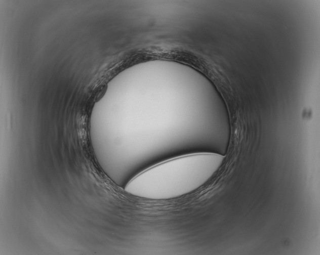 X0000112151156200908070956
