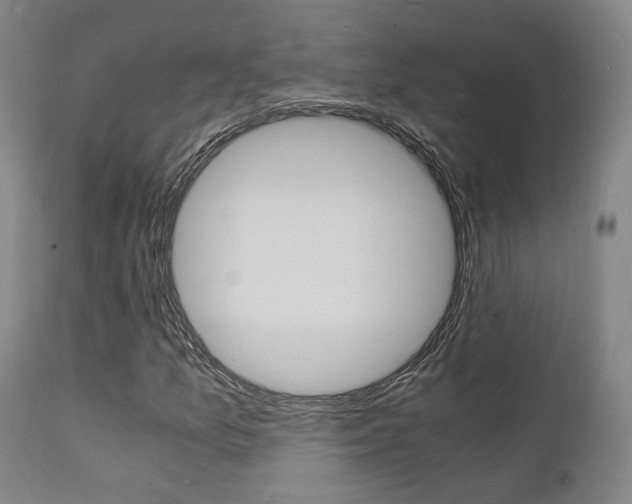 X0000112151157200908070956