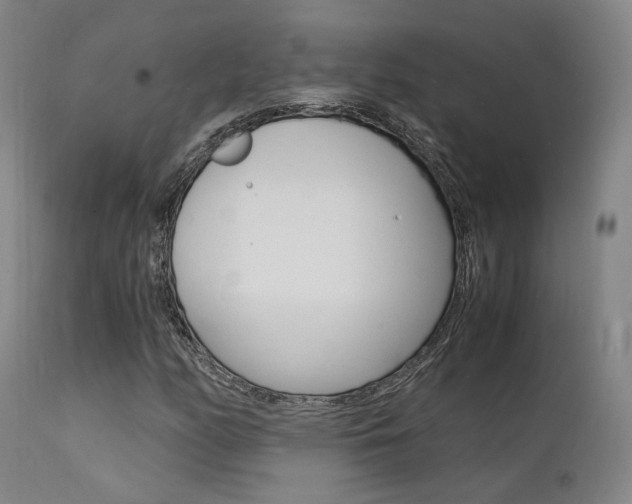 X0000112151158200908070956