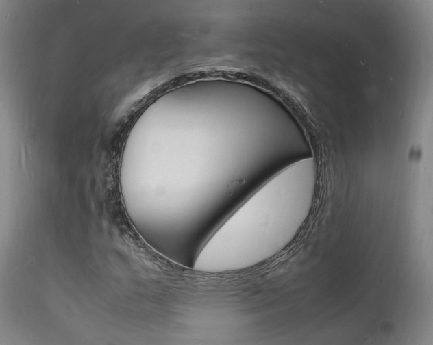 X0000112151159200908070956