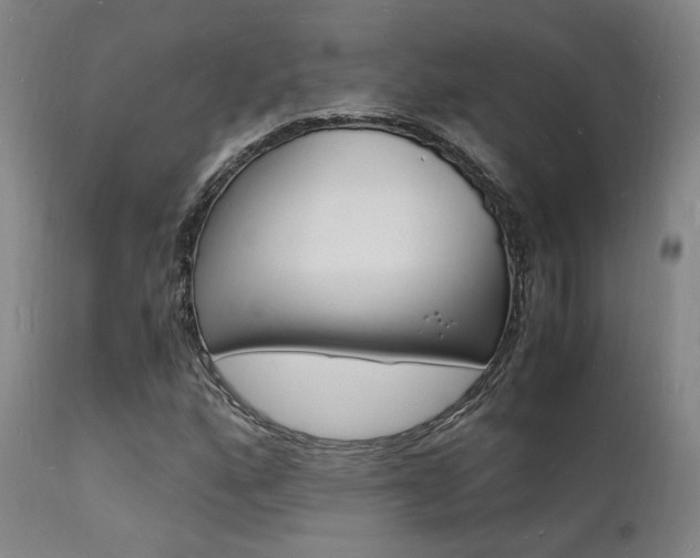 X0000112151160200908070956