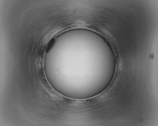 X0000112151161200908070956