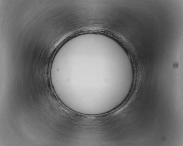 X0000112151162200908070956