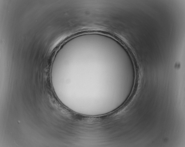 X0000112151163200908070956