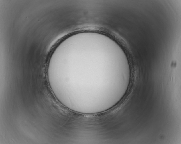 X0000112151166200908070955