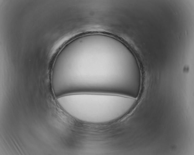 X0000112151167200908070955