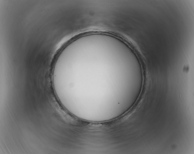 X0000112151168200908070955