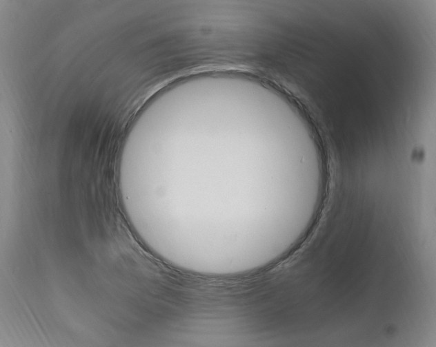 X0000112151169200908070955