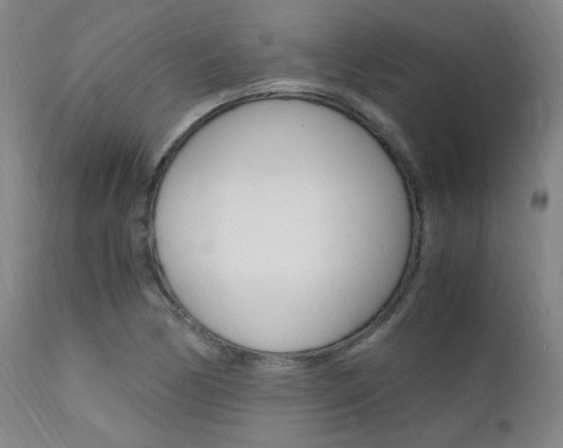 X0000112151170200908070955