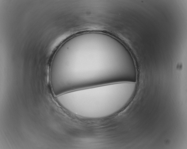 X0000112151171200908070955