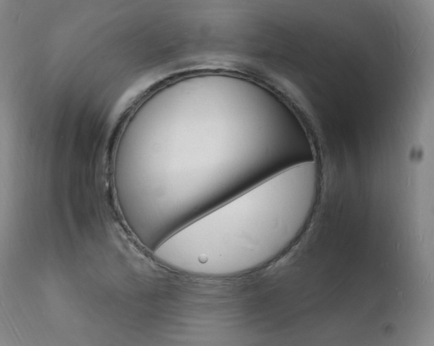 X0000112151172200908070955
