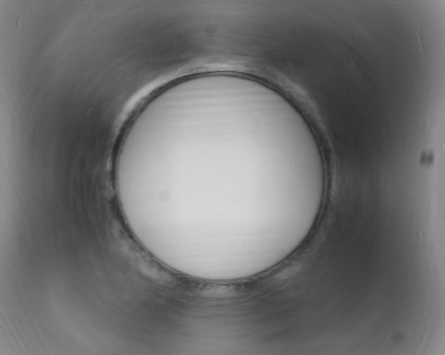 X0000112151174200908070955