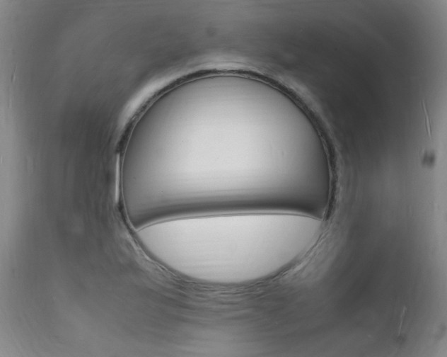 X0000112151175200908070955