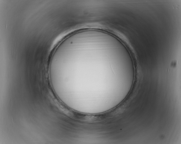 X0000112151176200908070955