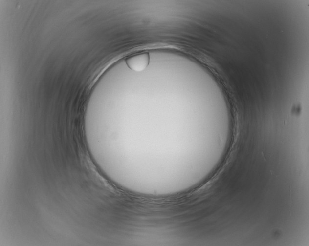 X0000112151177200908070955