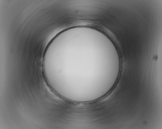 X0000112151178200908070955