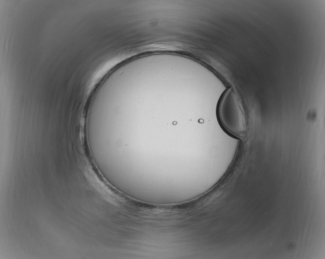 X0000112151179200908070955