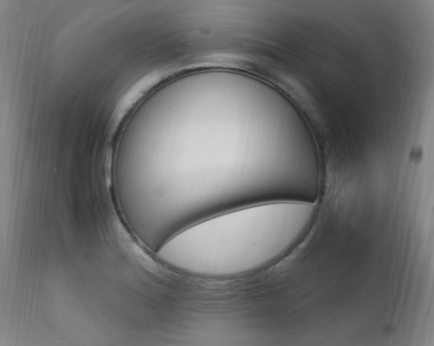 X0000112151180200908070955