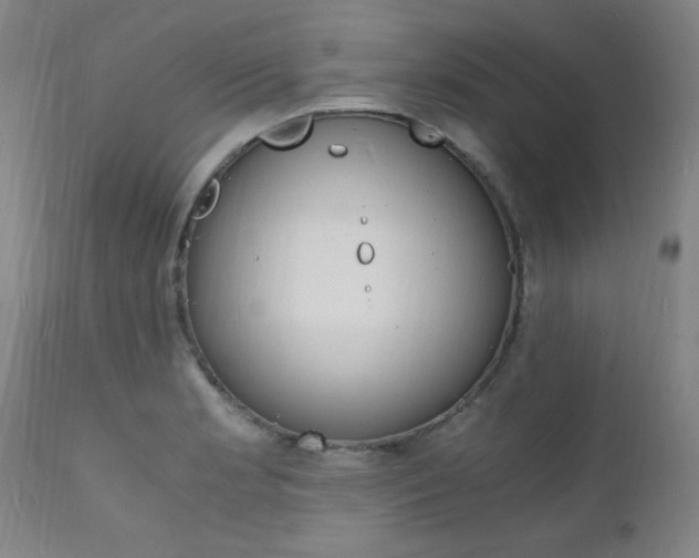X0000112151181200908070955