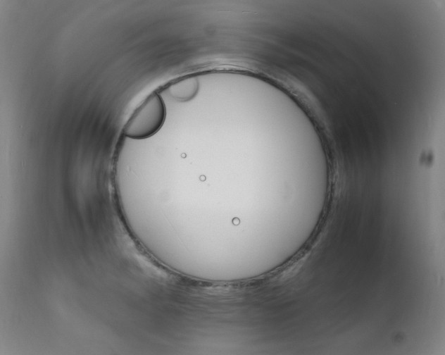 X0000112151182200908070955