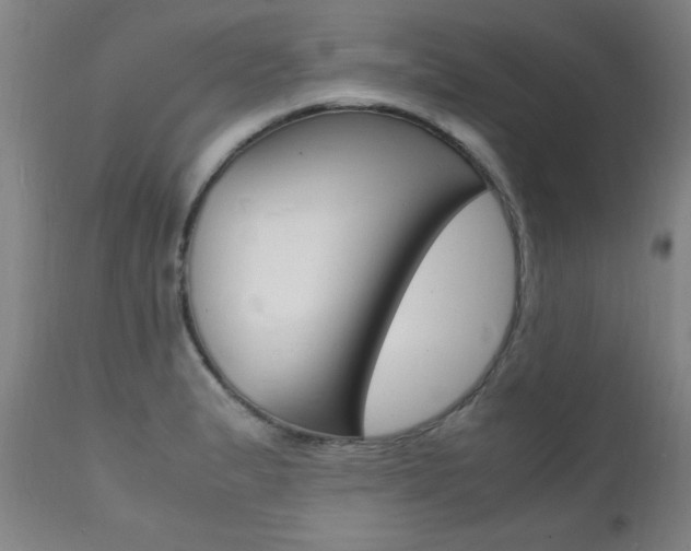 X0000112151183200908070955