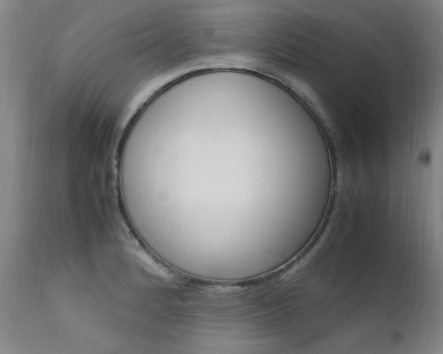 X0000112151184200908070955