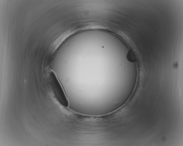 X0000112151185200908070955
