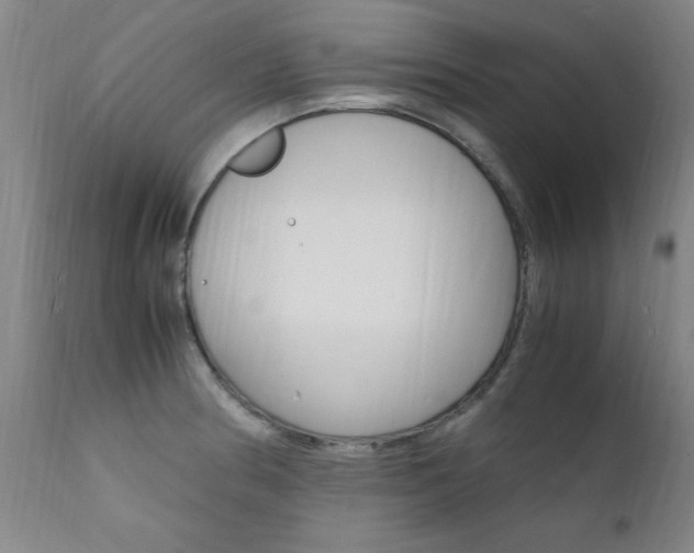 X0000112151186200908070955